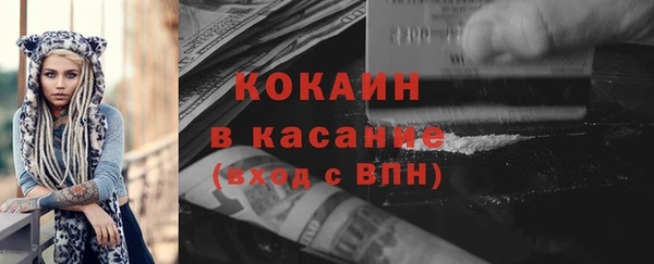 хмурый Алексин