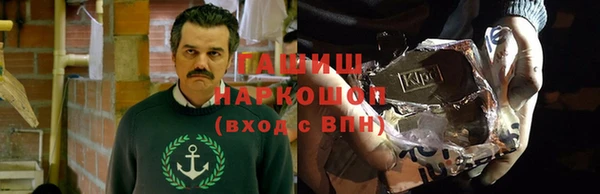 хмурый Алексин