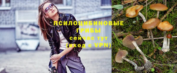 экстази Медвежьегорск