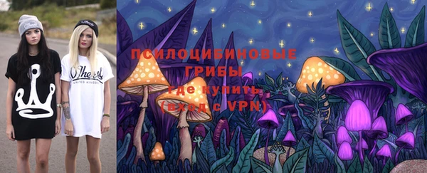 хмурый Алексин