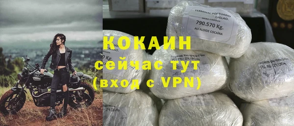 хмурый Алексин