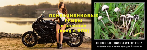 хмурый Алексин