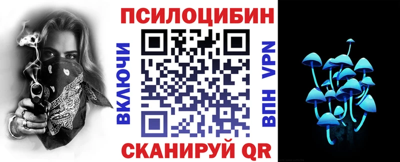 что такое   Люберцы  Псилоцибиновые грибы MAGIC MUSHROOMS 